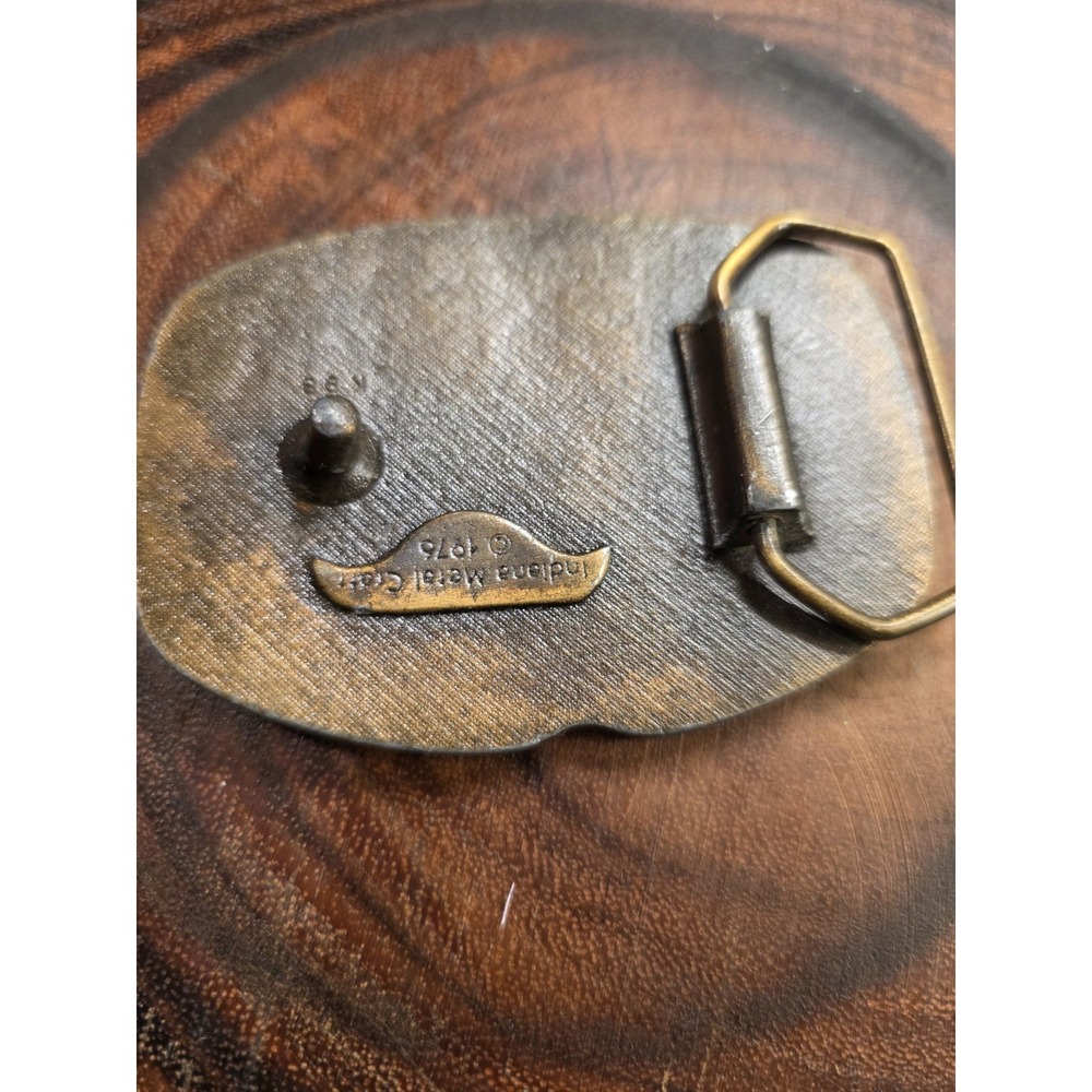 Vintage Belt Buckle - 1976 Country - Picture 7 of 12